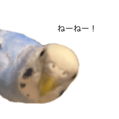 Onigiri_20250101032721