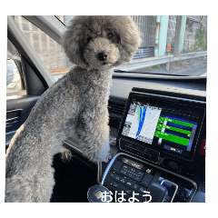 COCO_20241231151038