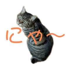 cats stamp:)