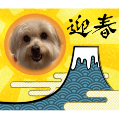 Shin_20250101092315