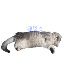 miki_20241231220502