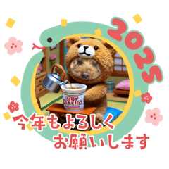 poorin_20241231221354