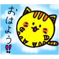 Nico_20241231221508