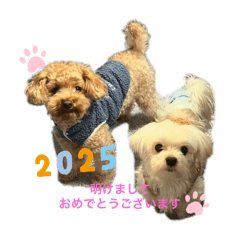mari_20250101102202
