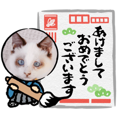 chacha_chan