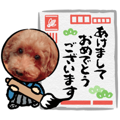 MOKO MOKO0218
