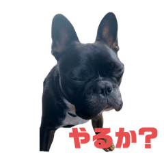 JONH_20241231162842