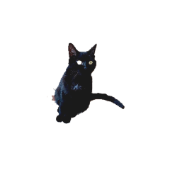 aru_oshogatu