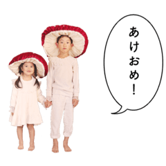 kinoko_akeome