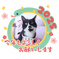 kana_20241231212710
