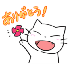 素直なネコさん＊すーちゃん
