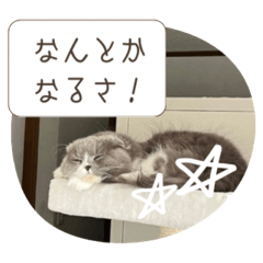 kakuko_20241231232117