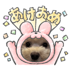 わがやのもこ