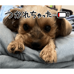 BORUTO&Lewis_20250101082839