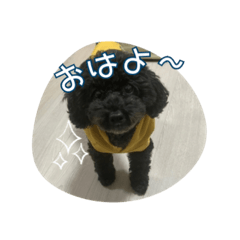 coco_20250101134402