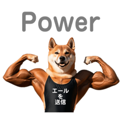 柴犬太のNo buff No life