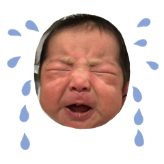 satsuki.ra_20250101111741