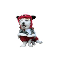 michi-sango_20250101112059