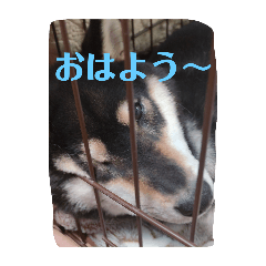 ichigomaru_20250101133009