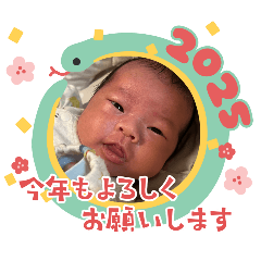 pipi_20250101113949