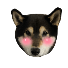 n_20250101143756