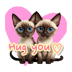 Beautiful Siamese cats tweet daily