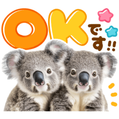 kawaii koala photo