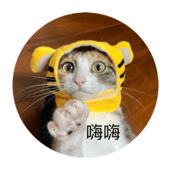 小豬瑀