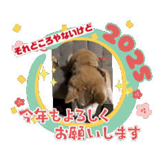 hiro_20250101160130