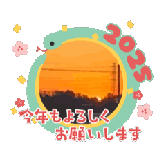 REI_20250101155539