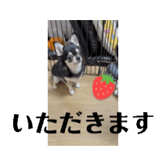keiko_20250101194447