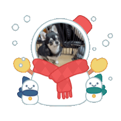 keiko_20250101190856