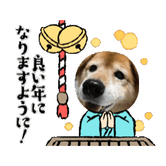 cherry_20250102004700