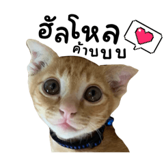 so cute_20250101205526