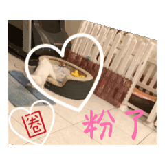 小冰糖～歡樂日常