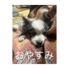 hikaru_20250101152718