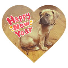 Yumi_20250101153451