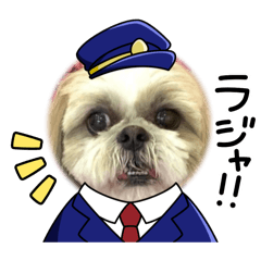 pipi_20250101