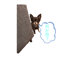 Nagi_20250101154929