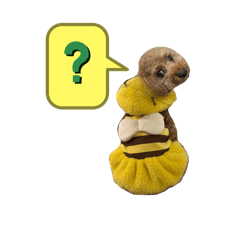 maruuuu_20250101174104