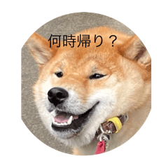 kk_20250101175856