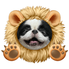 chico_20250101161221