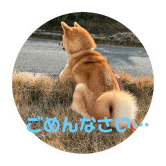 maki_20250101182609