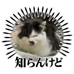 kI_20250101194523