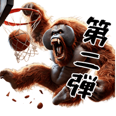 Orangutan x Basketball! Part 2!