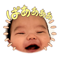 shin_20250101203635