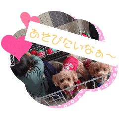 rena_20250101224640