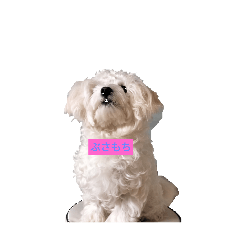 mo_20250101071851