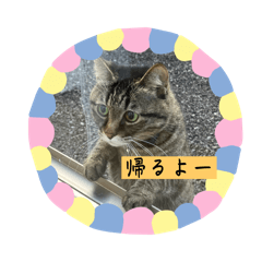momo_20250101190015
