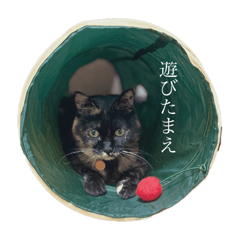 neneneko_20250101222245